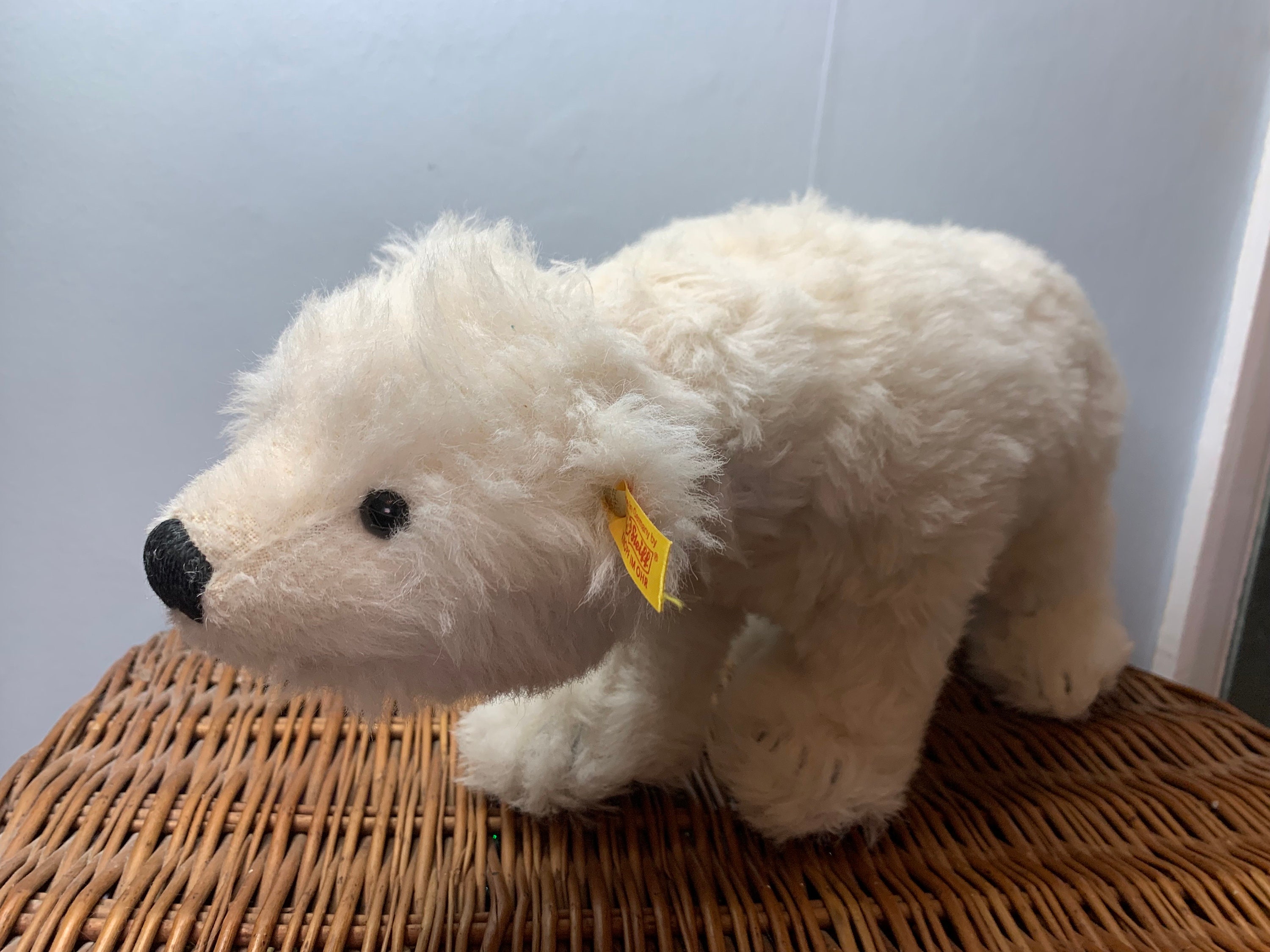 STEIFF Large Polar Mohair TEDDY BEAR 062780 - Etsy
