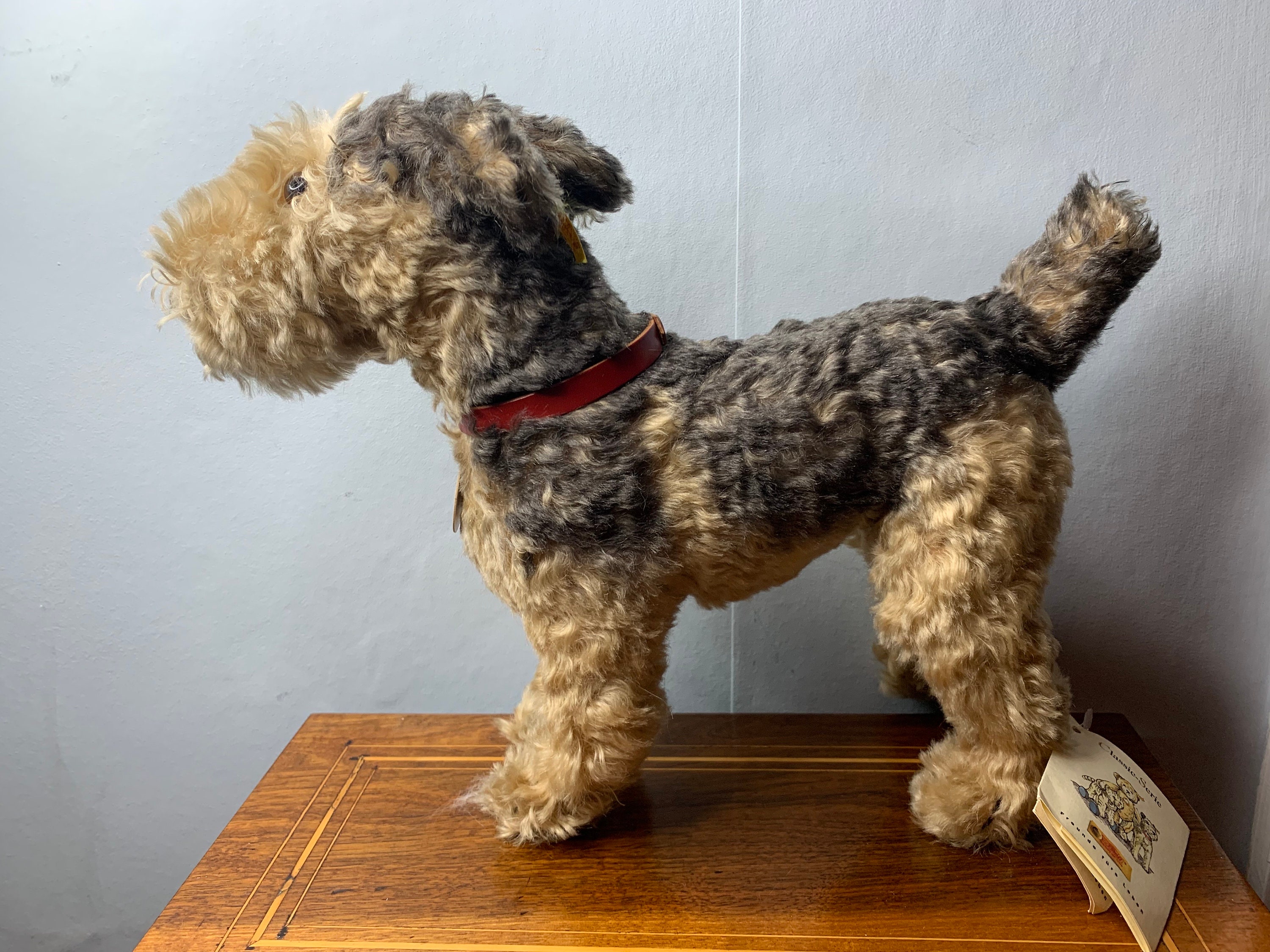 Rare STEIFF 1935 Classic Fellow Terrier Mohair 30 Dog Rare STEIFF 1935 Classic Fellow Terrier Mohair 30 Dog