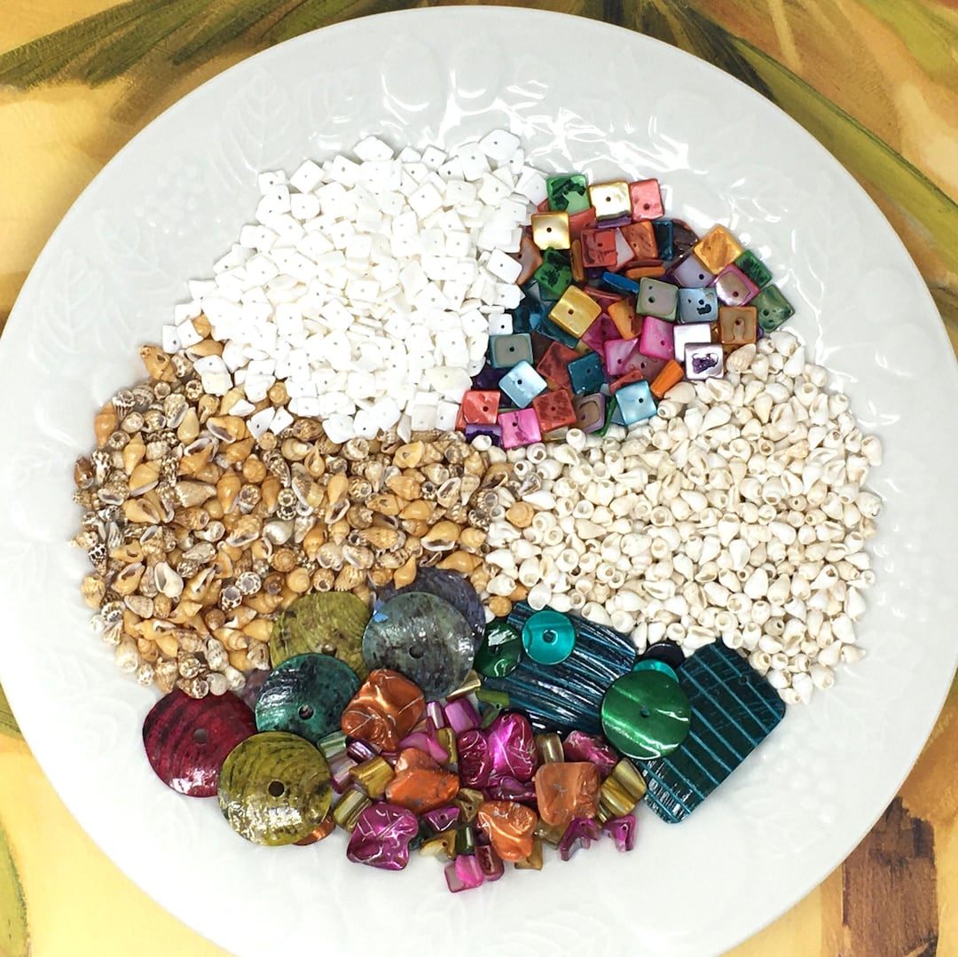 One Pound of Seashell Bead Soup, Mixed Lot of Tiger Nassa Ringtop ...