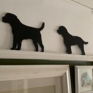 Cockapoo Topper Sits on Top of Door Frame. Lovely Breeds of Dog 30 ...