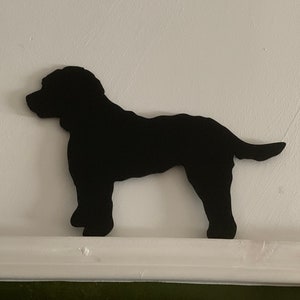 Cockapoo Topper Sits on Top of Door Frame. Lovely Breeds of Dog 30 ...