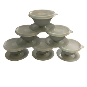vintage TUPPERWARE Gray Set 6 Dessert Pudding Sherbet Parfaits avec socle et couvercles