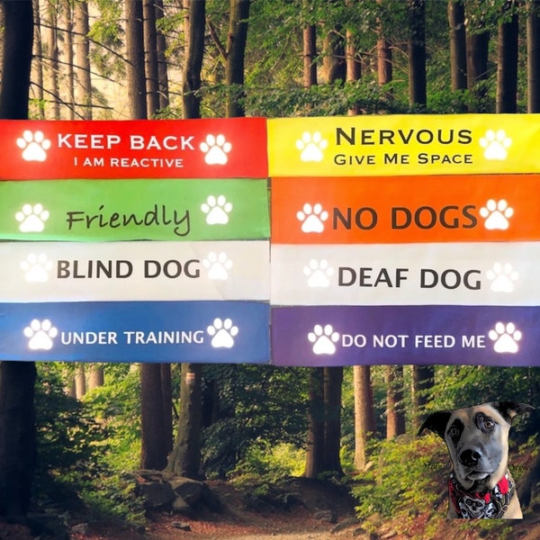 Resbalones de plomo: reactivo, nervioso, ciego, sordo, amigable, sin perros, bajo entrenamiento, no me alimente, personalizado