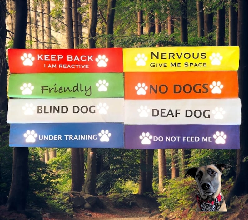 Lead Slips Reactief, zenuwachtig, blind, doof, vriendelijk, geen honden, onder training, geef mij geen eten, aangepast afbeelding 1