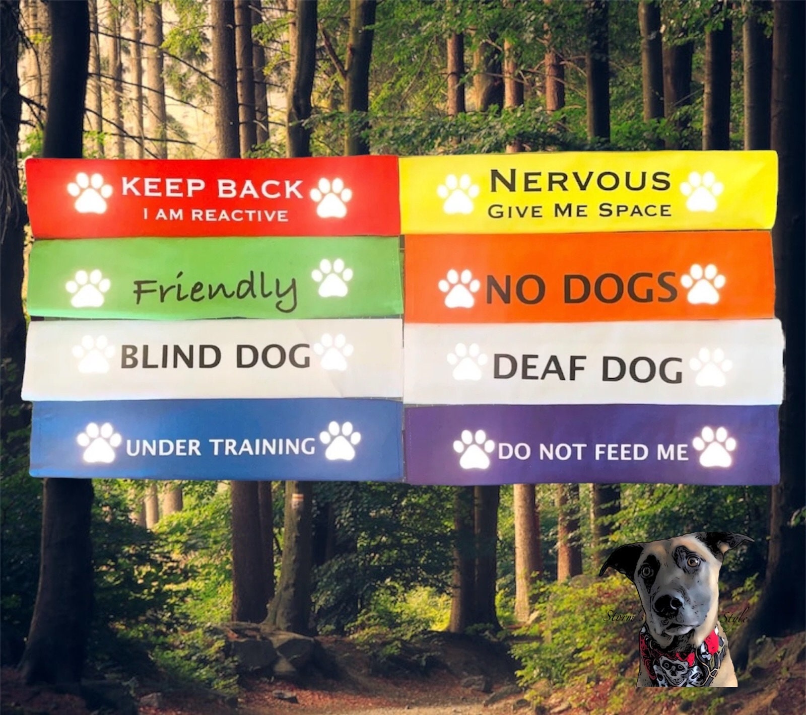Lead Slips - Reactive, Nervous, Blind, Deaf, Friendly, No Dogs, Under Training, Do Not Feed Me, Custom
