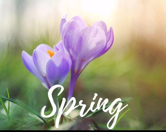 Préréglages Lightroom Filtres Spring Look | Ordinateur de bureau et mobile