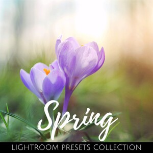 Lightroom Presets Spring Look Filters | Desktop & Mobile - Etsy