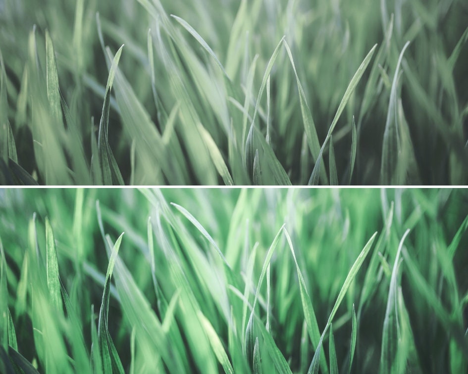 Lightroom Presets Spring Look Filters | Desktop & Mobile - Etsy