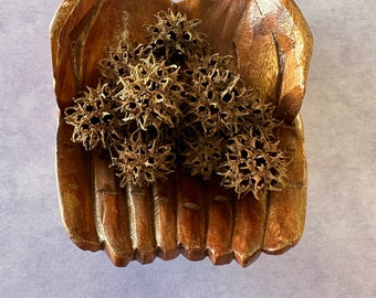 Witch Burr | Sweet Gum Balls | Protection | All Natural
