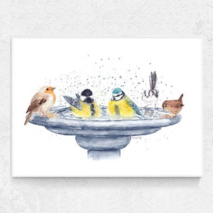 British Garden Birds print. Bird art prints. Bird bath watercolour painting print. Bird wall art decor. Birdwatching gifts ideas
