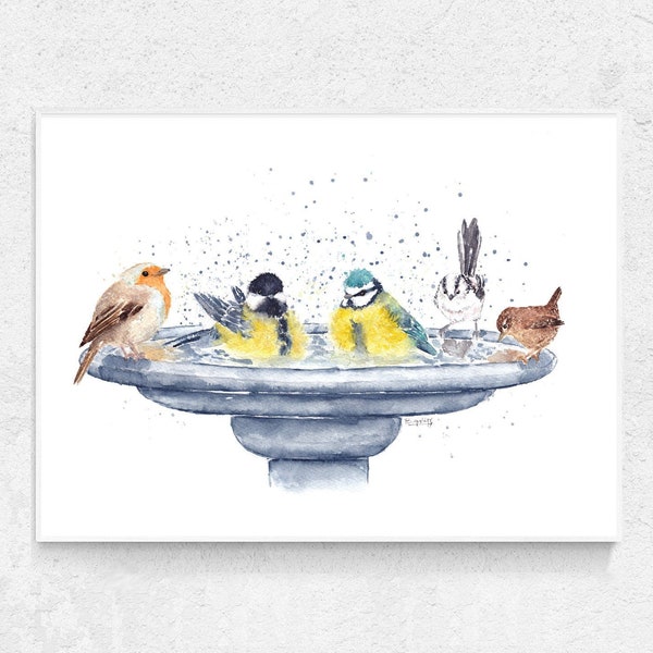 Ein Druck der British Garden Birds. Vogel Kunstdrucke. Vogeltränke Aquarellmalerei Druck. Vogel Wanddekor. Vogelbeobachter Geschenke Ideen