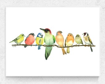 British Garden Birds Print: Birds on branch wall art