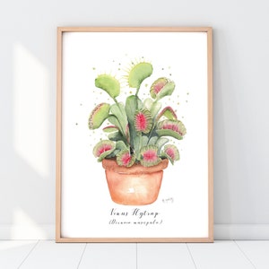 ハエトリソウのプリント：水彩画による植物画