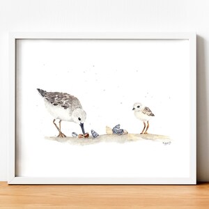 Sanderling Watercolor Print: Beach Ocean Theme Decor
