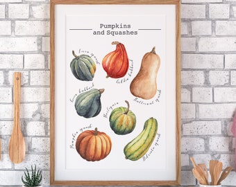 Pumpkins and squashes Vegetable print, Kitchen wall art food illustration, vegetables poster, rustic kitchen decor, Original Kitchen art