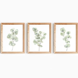 Eucalyptus Print Set: Silver Dollar Leaves Wall Decor