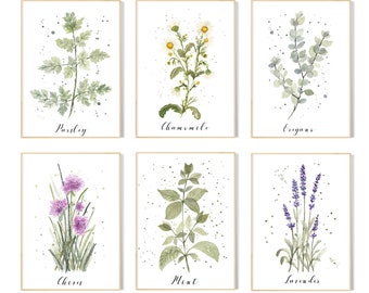 Botanical Kitchen Herbs prints | Set of kitchen herbs watercolour wall decor | Culinary herbs wall art prints | Garden herbs painting