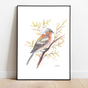 Arte de pájaro pinzón, póster de pájaros de jardín británico, impresión de pájaro pintada a mano, pintura moderna de acuarela de pájaro con oro, regalos para amantes de las aves