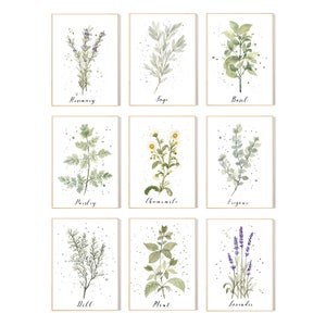 Botanical Kitchen Herbs Prints | Set of Kitchen Herbs Watercolour Wall ...