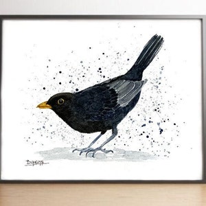 Blackbird print, Black bird picture watercolour painting, British garden birds wall art, bird art home decor, bird watching blackbird gift