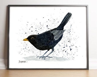 Blackbird print, Black bird picture watercolour painting, British garden birds wall art, bird art home decor, bird watching blackbird gift