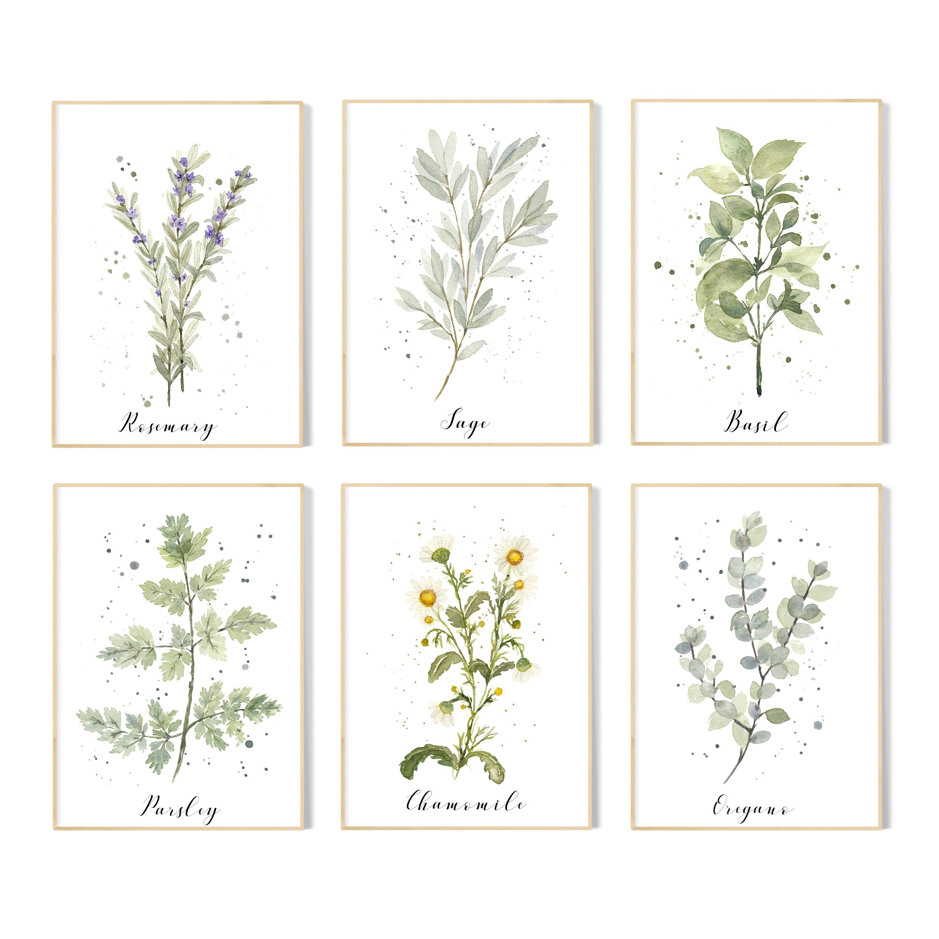 Botanical Kitchen Herbs Prints | Set of Kitchen Herbs Watercolour Wall ...