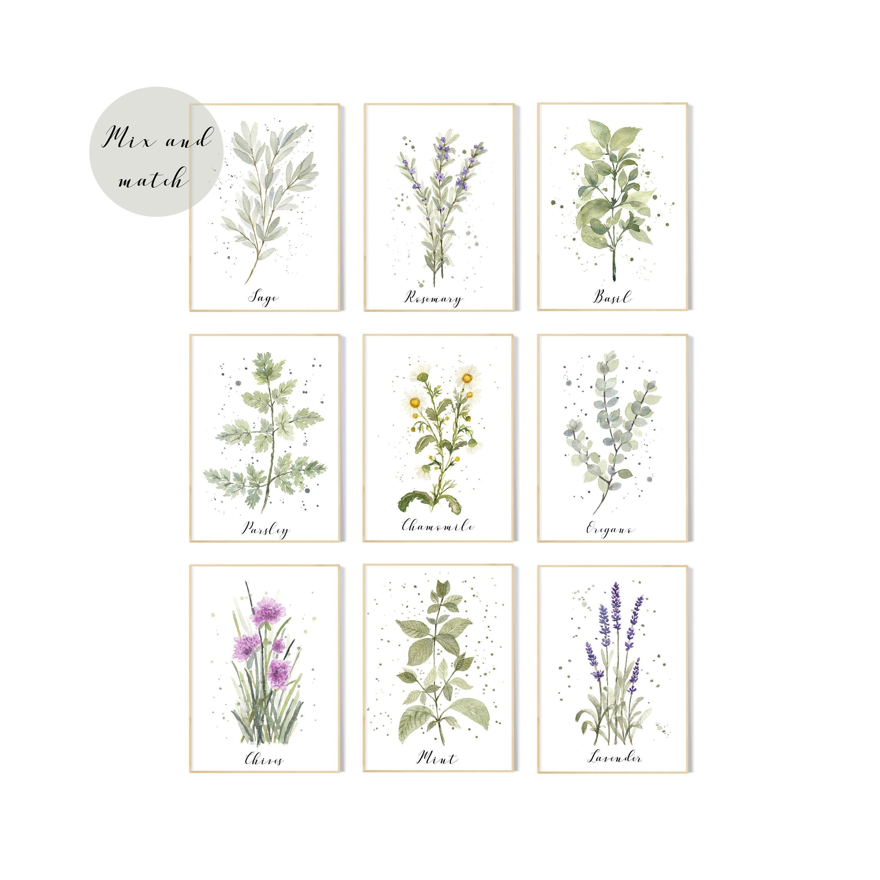 Botanical Kitchen Herbs Prints Set of Kitchen Herbs | Etsy UK