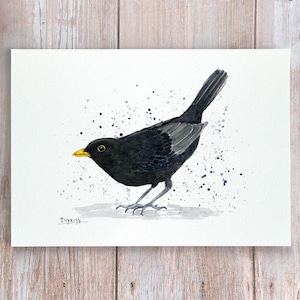 Impresión de mirlo, pintura de acuarela con imagen de mirlo, arte de pared con pájaros de jardín británicos, decoración del hogar con arte de aves, regalo de mirlo para observación de aves