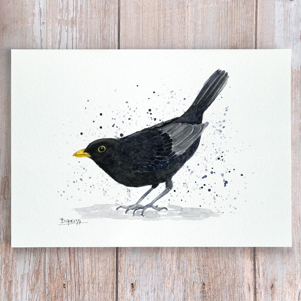 Blackbird Print - Etsy Australia