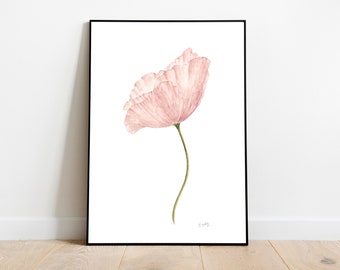Pink flower print, light pink wall art, Pink watercolour art, Pink botanical poster, Earthy art, Blush pink poppy print Floral painting