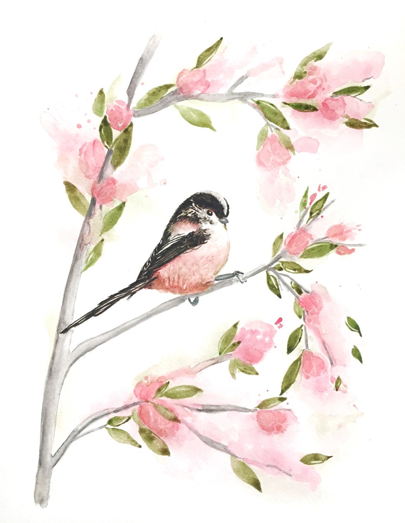 Backyard birds watercolour painting Bird lover gifts home decor Garden Bird print Blush pink large wall art baby girl wall art decor