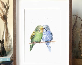 セキセイインコのアートプリント：水彩画のインコのイラスト - Etsy 日本