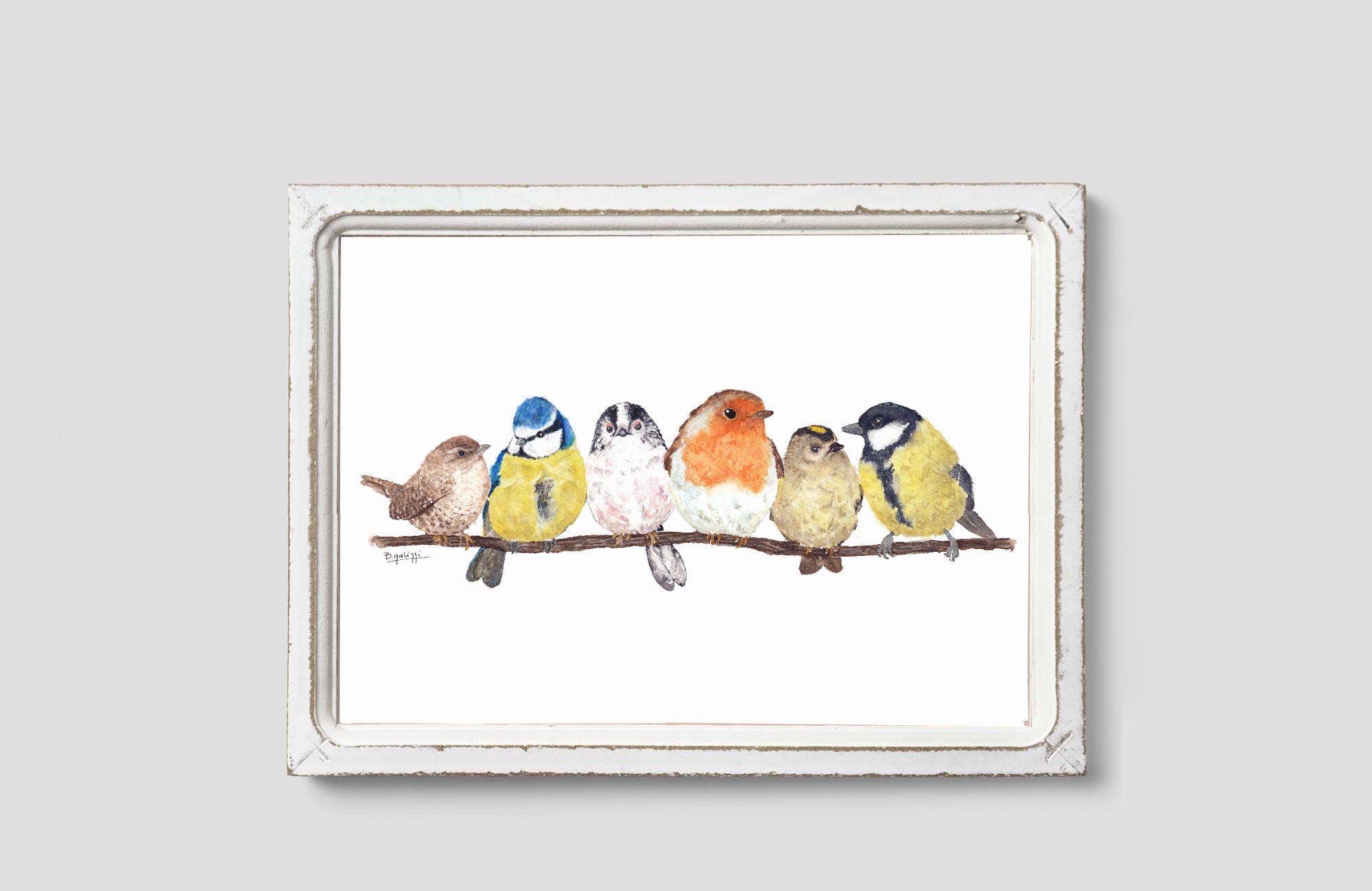 RSPB Garden Birds Giclée Print by Ben Rothery