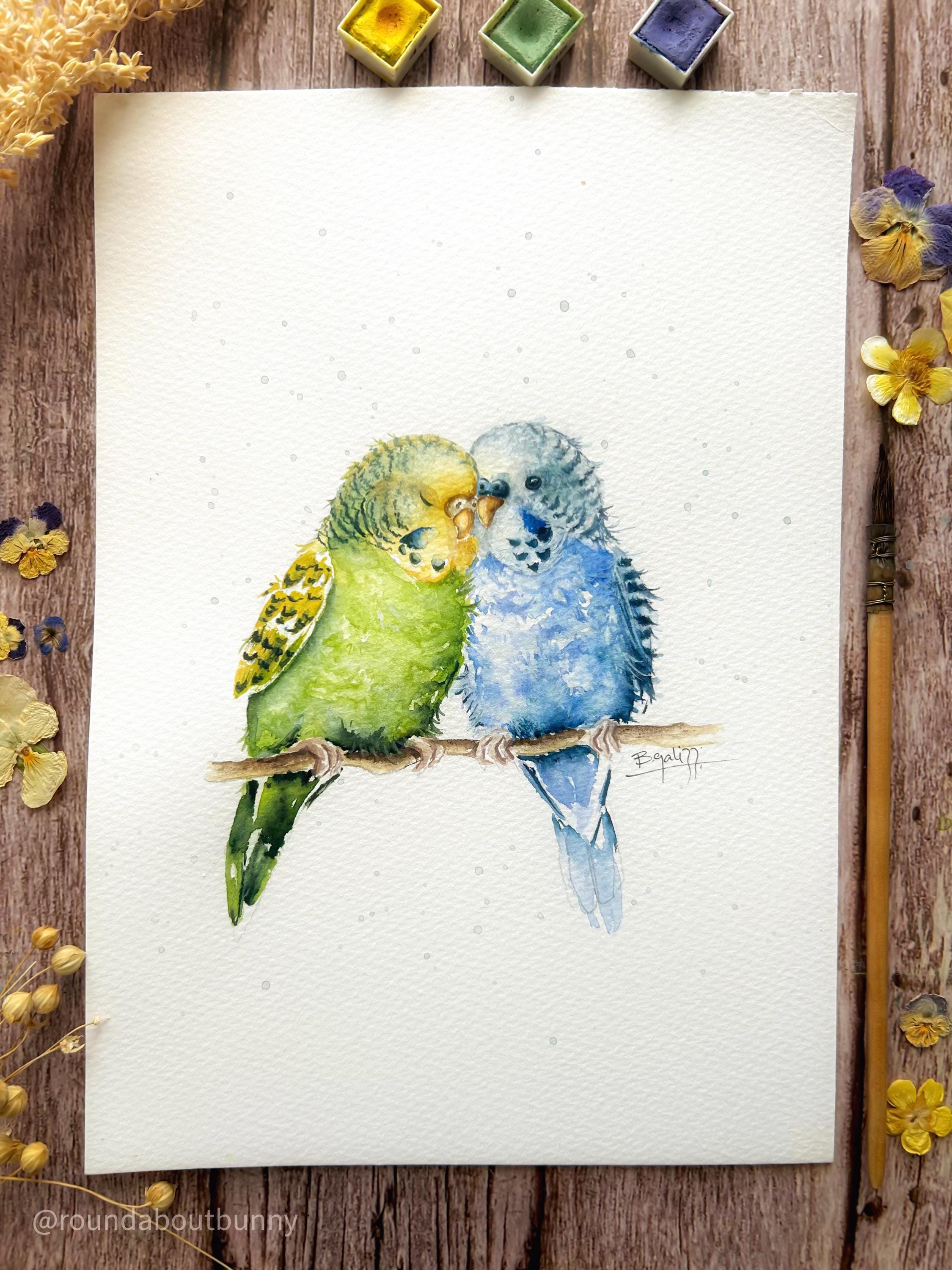セキセイインコのアートプリント：水彩画のインコのイラスト - Etsy 日本