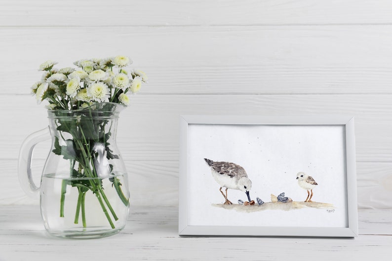 Winziger Vogel Kunstdruck, Sanderling Druck, Strand Ozean Thema Dekor, niedliche kleine Aquarellmalerei, Miniaturmalerei Strandläufer Vogel Wandkunst Bild 2