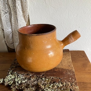 Può includere: Un vaso di ceramica marrone con un'unica maniglia. Il vaso è appoggiato su un pezzo di legno con del muschio che cresce su di esso.