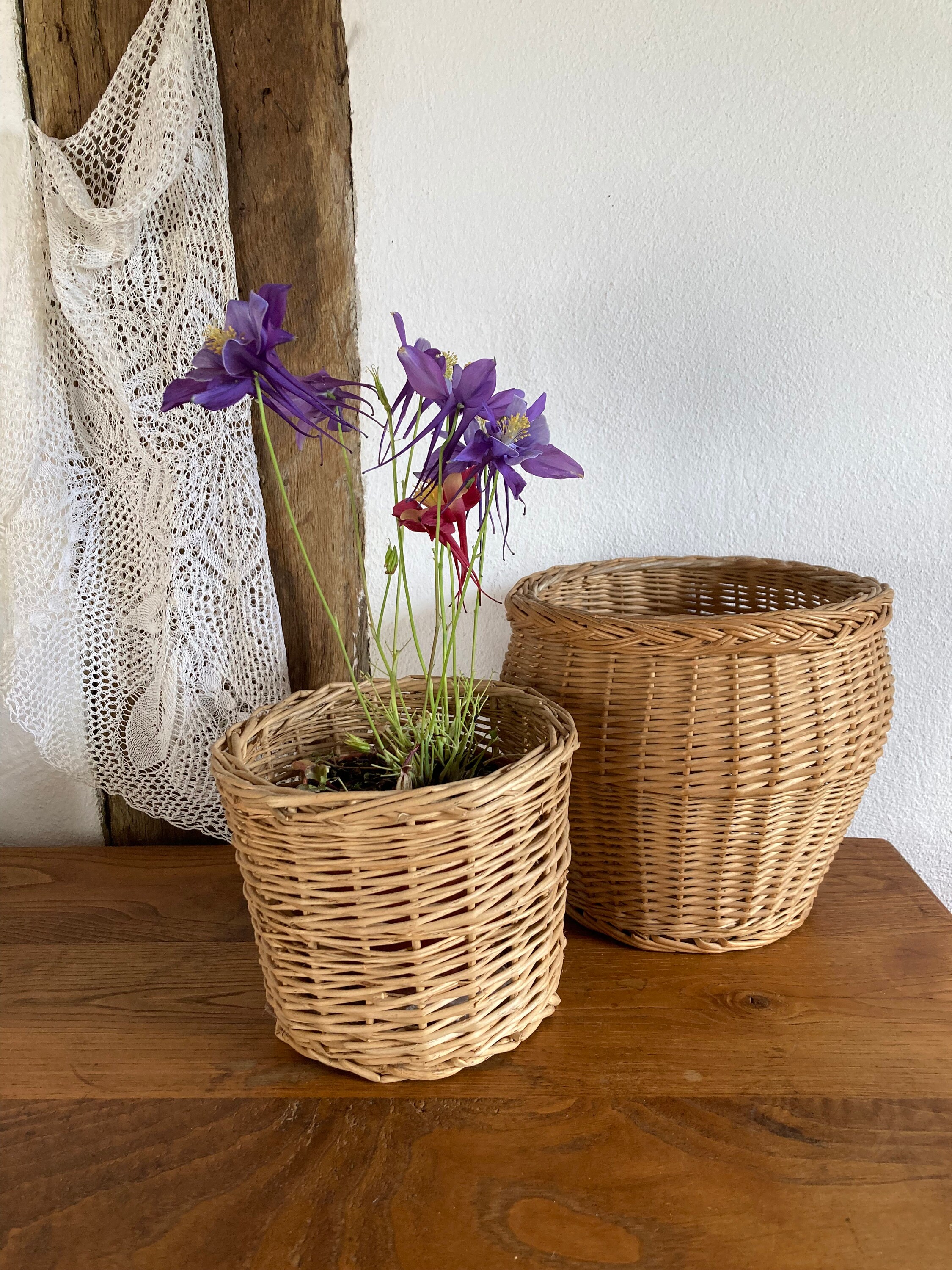 Antiker Weiden-Teetassen-Blumentopf Mit Untertasse – Ca. 24 Cm Durchmesser, Für Innen & Außen