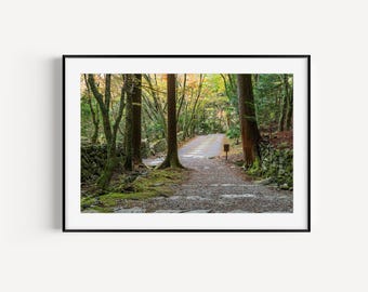 Kyoto Japan Nature Print | Kozanji Buddhist Temple | Japan Photo | Fine Art Print | Wall Art | Travel Photo | Japanese Photography