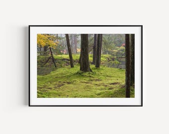 Kokedera Kyoto Japan Print | Saihoji Moss Temple | Japan Photo | Fine Art Print | Wall Art | Travel Photography | Japanese Photography