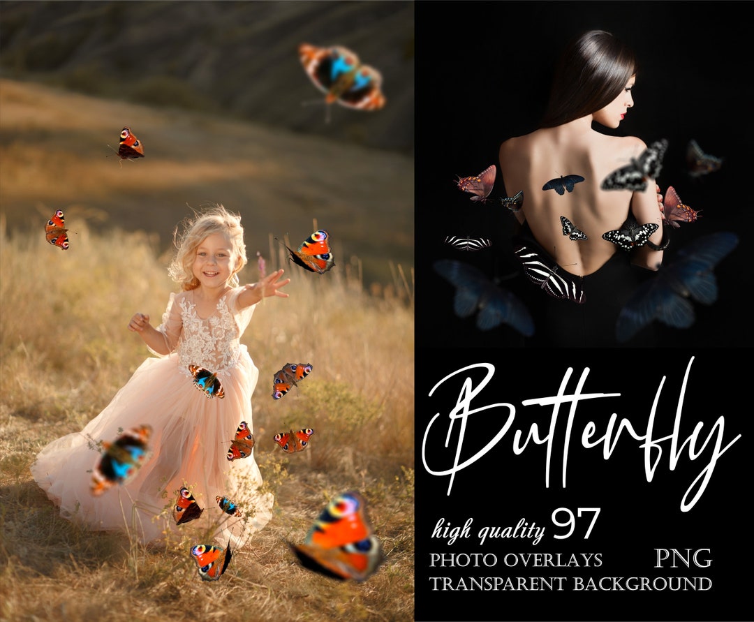 Realistic Butterfly Overlay, Butterfly Photo Clipart, Flying ...