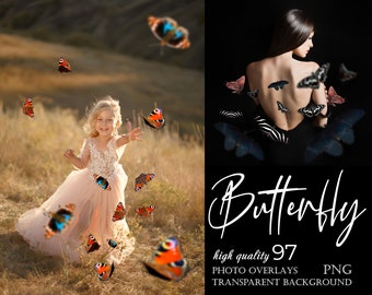 Realistic Butterfly Overlay, Butterfly photo clipart, flying Butterflies, transparent PNG, Photoshop overlays, colorful moth, mix kind, blue