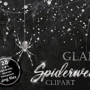 Glam Spiderweb Photo Clipart Overlay, Silver Corweb Photo Overlays, Glitter Spider&#39;s Web, Glamorous Helloween Shiny Spider web Background