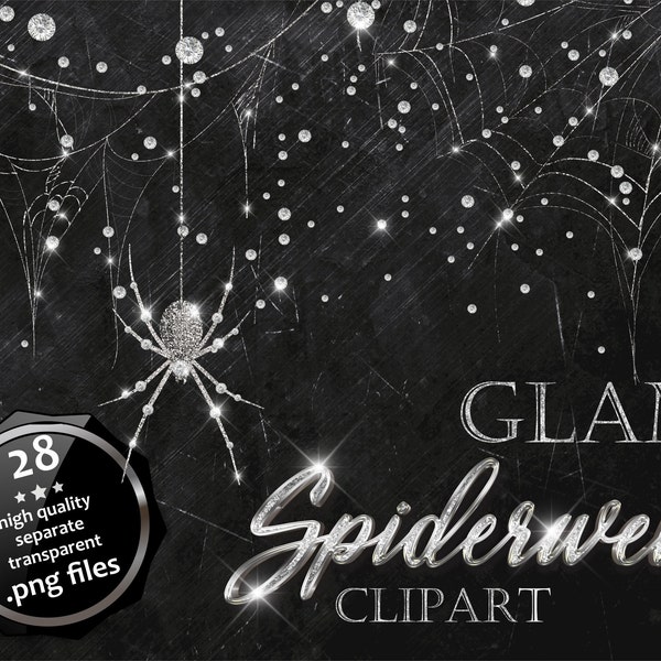 Glam Spiderweb Photo Clipart Overlay, Silver Corweb Photo Overlays, Glitter Spider's Web, Glamorous Helloween Shiny Spider web Background