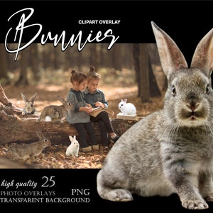 Hase Clipart Foto Overlays, Osterhasen png, Kaninchen Overlays, Baby Bunnies, echte Waldtiere, Hase Photoshop Overlay, Gartentier