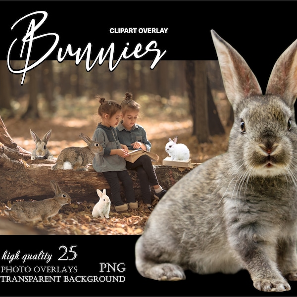 Bunny Clipart Photo Overlays, Easter Bunnies png, Rabbit Overlays, Babby Bunnies, Real Forest Animals, Hare photoshop overlay, Garden Animal