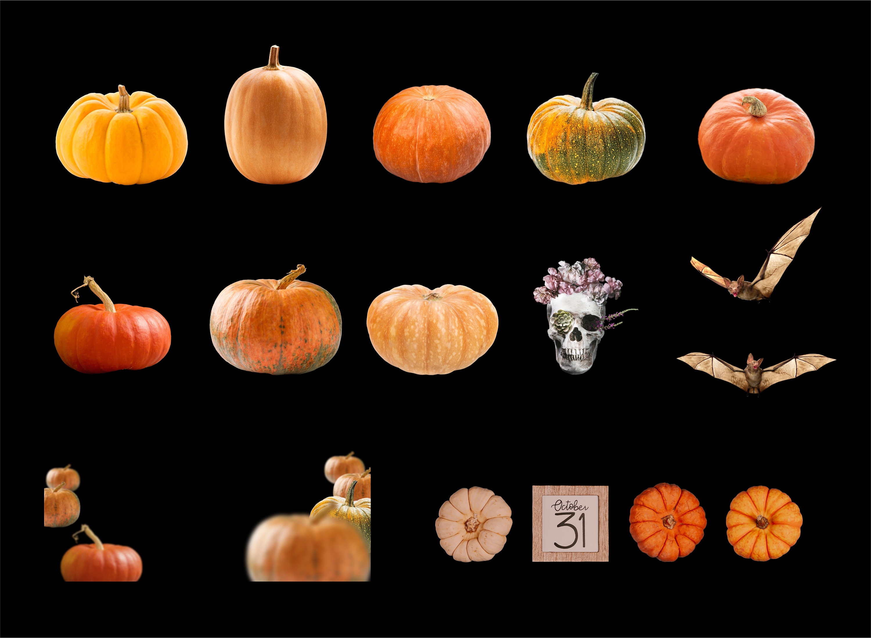 50 Halloween Photo Overlays Pumpkins Overlays PNG Clipart Etsy Canada