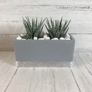 May include: Two small green and white striped succulents planted in a grey rectangular planter with a silver band around the top.