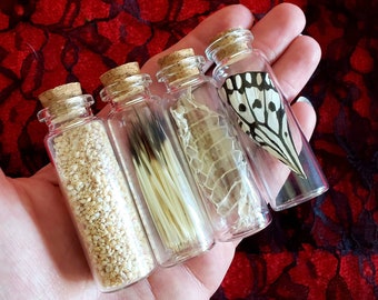 Natural Curiosity Sampler Pack of 4 - Porcupine Quills Butterfly Wing Bull Snake Shed Skin Okinawa Star Sand Vials - Oddity Oddities Curio