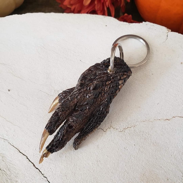 Real Alligator Gator Foot with Claws Keychain - Oddities Oddity Vulture Culture Natural Curiosity Taxidermy