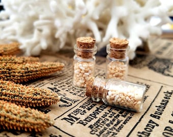 Tiny Okinawa Star Sand in Tiny Glass Cork Top Vial Jar 0.5ml Bottle Natural Curiosity Oddity Oddities Alter Curio Shelf